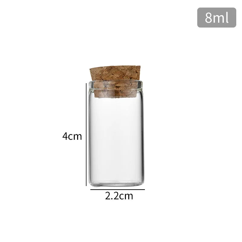 Bouteille HI en verre transparent avec bouchon en liège,  1 pièce