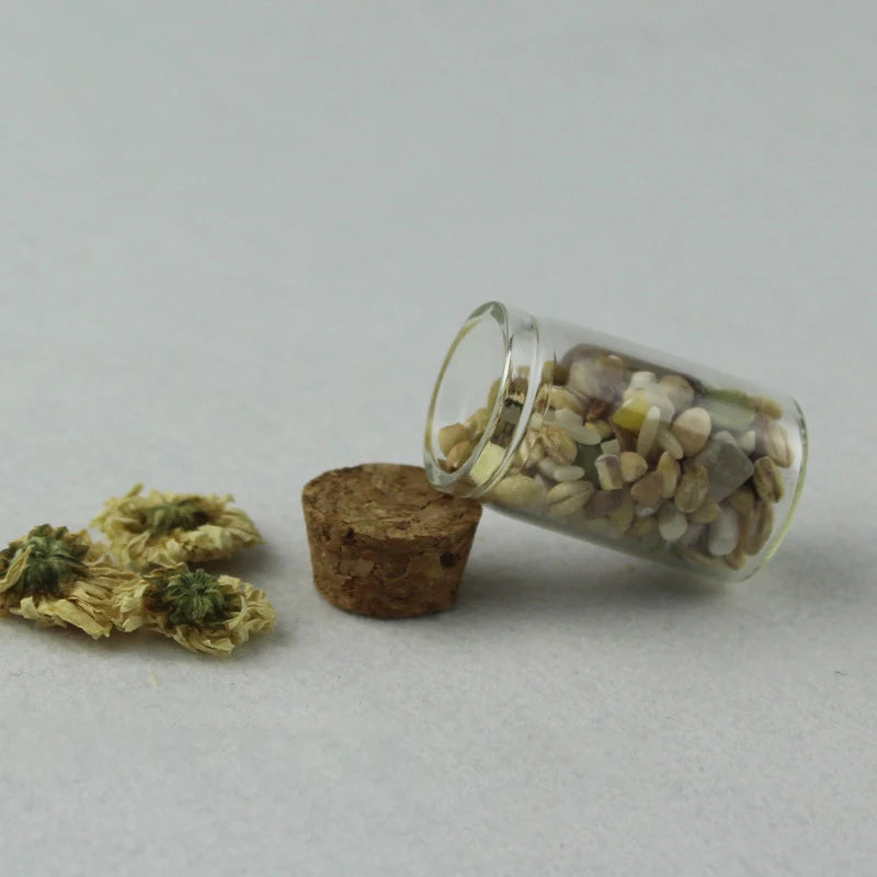 Bouteille HI en verre transparent avec bouchon en liège,  1 pièce